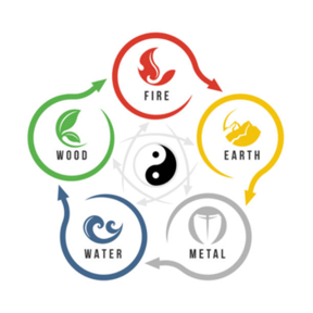 Certified Holistic Pet Health Coach and Pet Nutritionist - Brighton, MI