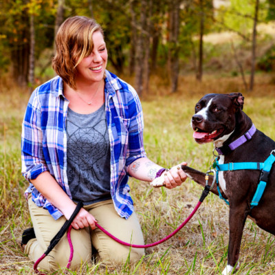 Creative Canine Solutions - Dog Training Services - Springfield, OR