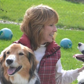 Companion Canines - Private Dog Training Services - Kalkaska, MI