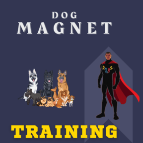 Dog Magnet Training - Salt Lake City, UT