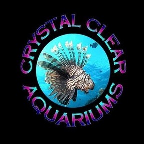 Crystal Clear Aquariums - Aquarium Services - Belgrade, MT