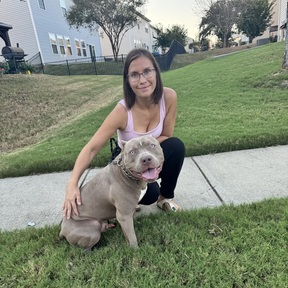 Safe, Caring Transport for Your Beloved Pet - Pineville, NC