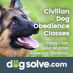 Dog Solve LLC - In Home Private Dog Obedience Training  - Falls Church, VA