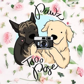 Pawz to Pose Pet Photography - Fairborn, OH