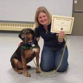 Think Pawsitive - In Home Private Dog Training - Manlius, NY