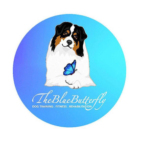 The Blue Butterfly Dog - Private Dog Trainer - Sussex, NJ
