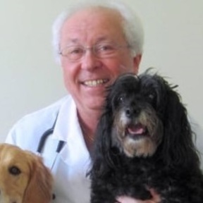 Vets to Pets LLC - Mobile Veterinary Care Services - Boca Raton, FL