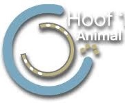 Hoof’n’Paw Animal Massage  - Kittredge, CO