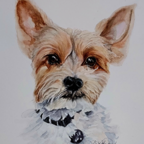 Xpressions by Boni - Lacey Washington Pet Portraits  - Lacey, WA