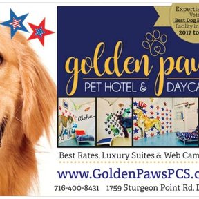 Golden Paws Pet Hotel & Daycare - Derby, NY