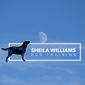 Sheila Williams - In Home Private Dog Training  - Des Moines, IA