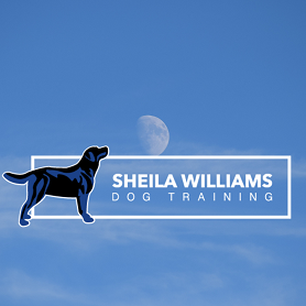 Sheila williams1