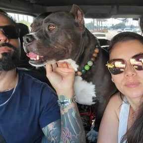 Pet Care Family Transport - Pompano Beach, FL