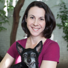 High Ten - In Home Private Dog Training - Stamford, CT