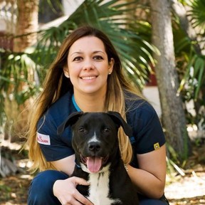 Red Diggity Dog - Dog Daycare and Dog Boarding - Tampa, FL
