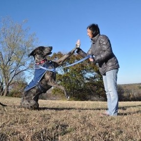 Luv Yur Mutt - In Home Private Dog Training Service - Cedar Hill, TX