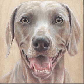 Doggywood - Pet Portrait Artist -Austin, TX