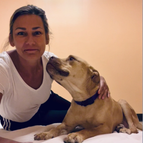 Animal Reiki and Communication - Santa Fe, NM
