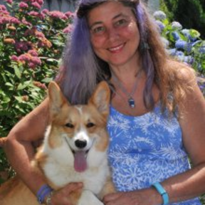 Holistic Pet and Equine Physical Therapy  - West Hatfield, MA