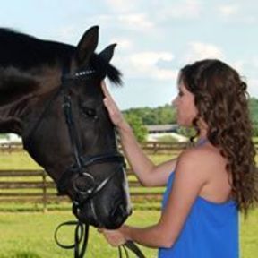 Integrated Equine Bodywork and Massage - Santa Rosa, CA