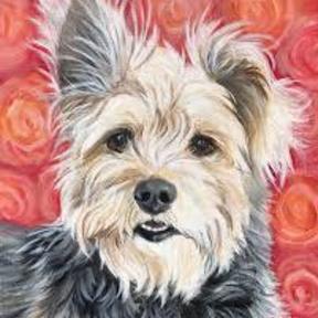 Suzi Reil Art - Pet Portrait Artist - Glendale, CA - Nationwide