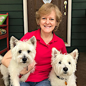 Two Tails Up, LLC - Certified Dog Trainers - Tega Cay, SC