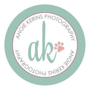 Angie Kerins Dog Pet Photography - Deltona, FL