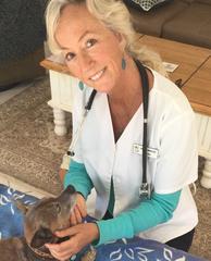 Active Pet Health - Animal Chiropractic Care - Calabasas, CA