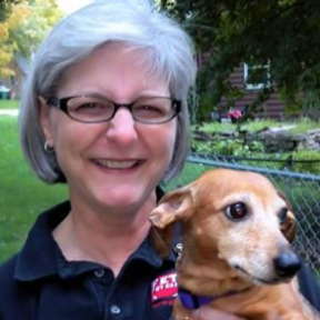 Fetch! Pet Care - Dog Walking and Pet Sitting - Des Moines, IA