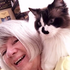 Meditation Education - Pet Reiki and Animal Reiki Care - Dayton, OH