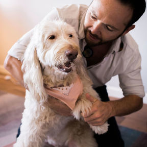 Awaken Boulder - Animal Chiropractic Care - Boulder, CO
