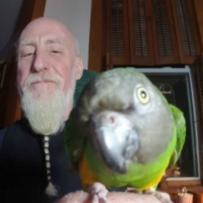Windy City Parrot - Private Bird Trainers - Lowell, IN