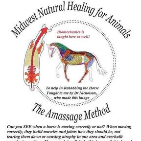 JMSHOW Equine and Canine Massage Therapy - Bethesda, OH