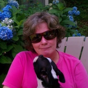 Daily Leash Dog Walking and Pet Taxi - Holliston, MA