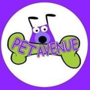 Pet Avenue Dog Grooming & Boarding - Miami, FL