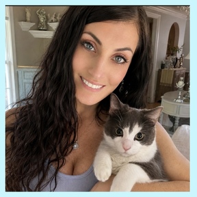 Purrfect Behavior - Certified Feline Behavior help   - Flushing, NY