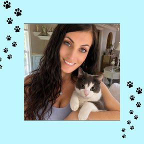 Remote Cat Behavior Help  - Flushing, NY