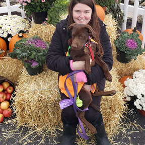 RCO Pet Care - Pet Sitting and Dog Walking - Waterbury, CT