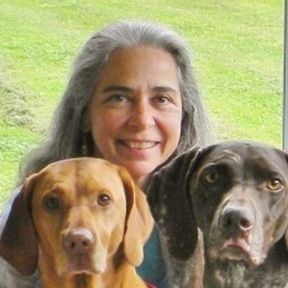 My Canine Companion - Certified Private Dog Trainer - Cadyville, NY