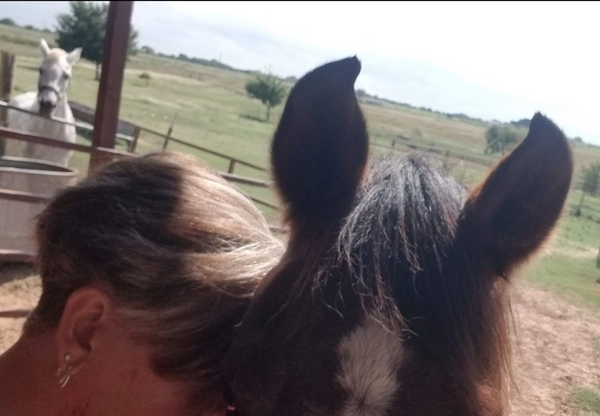 Animal Intuitive & Pet Reiki Practitioner  Oklahoma City, OK
