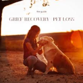 Holistic Pet Loss Program With Multimodality Practitioner  - San Diego, CA