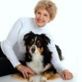 Playful Pups and Performance Training | Dog Trainer - Virginia Beach, VA