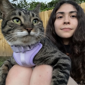 Feline Behaviorist and Trainer - Anaheim, CA