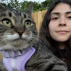 Feline Behaviorist and Trainer - Anaheim, CA