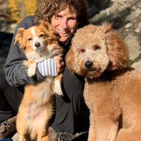 Go Dog Go Canine Rehab - Dog Physical Therapy - Kirkland, WA