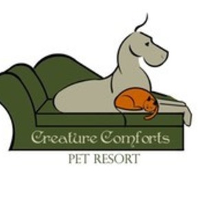 WNY's Premier Luxury Pet Resort - Pet Boarding - Angola, NY