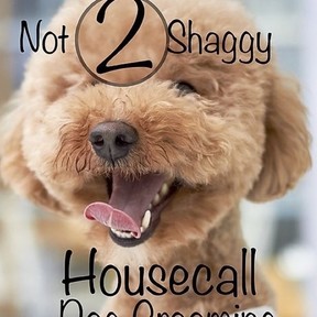Not 2 Shaggy Housecall Mobile Dog Grooming - Savannah, GA