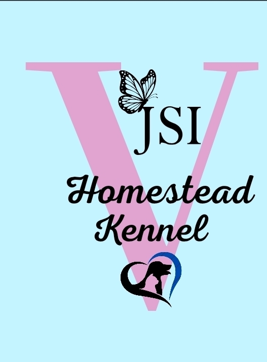 Screenshot 20260115 072754 canva