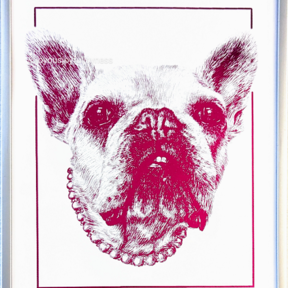 JoyousJoyfulJoyness - Orinda California Pet Portraits  - Orinda, CA