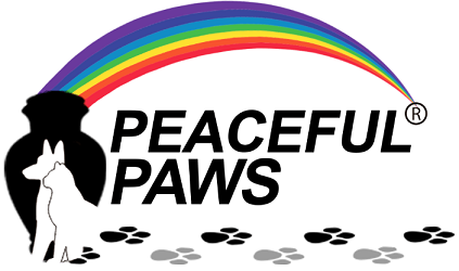 Peaceful Paws Memorial Service - Pet Cremation Services - Miami, FL